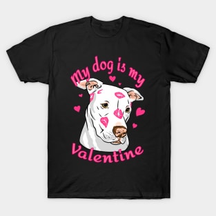 My Dog Is My Valentine Funny Valentines Day Pit Bull lover T-Shirt